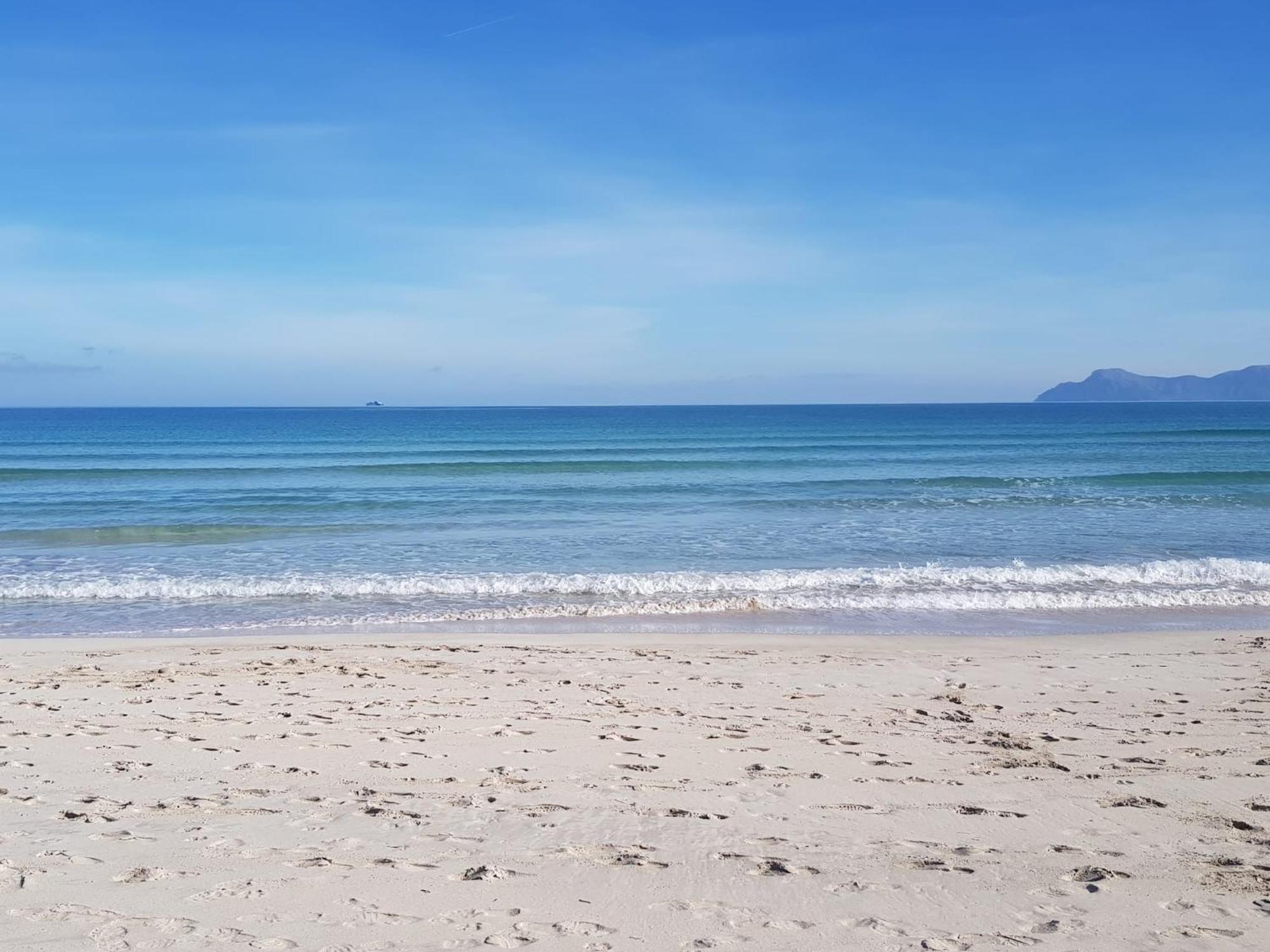 Ideal Property Mallorca - Delicias Alcudia  Exteriör bild